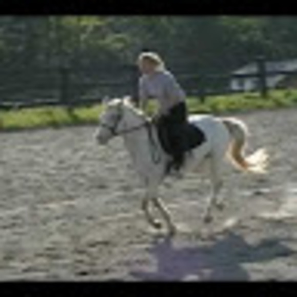 smudge31